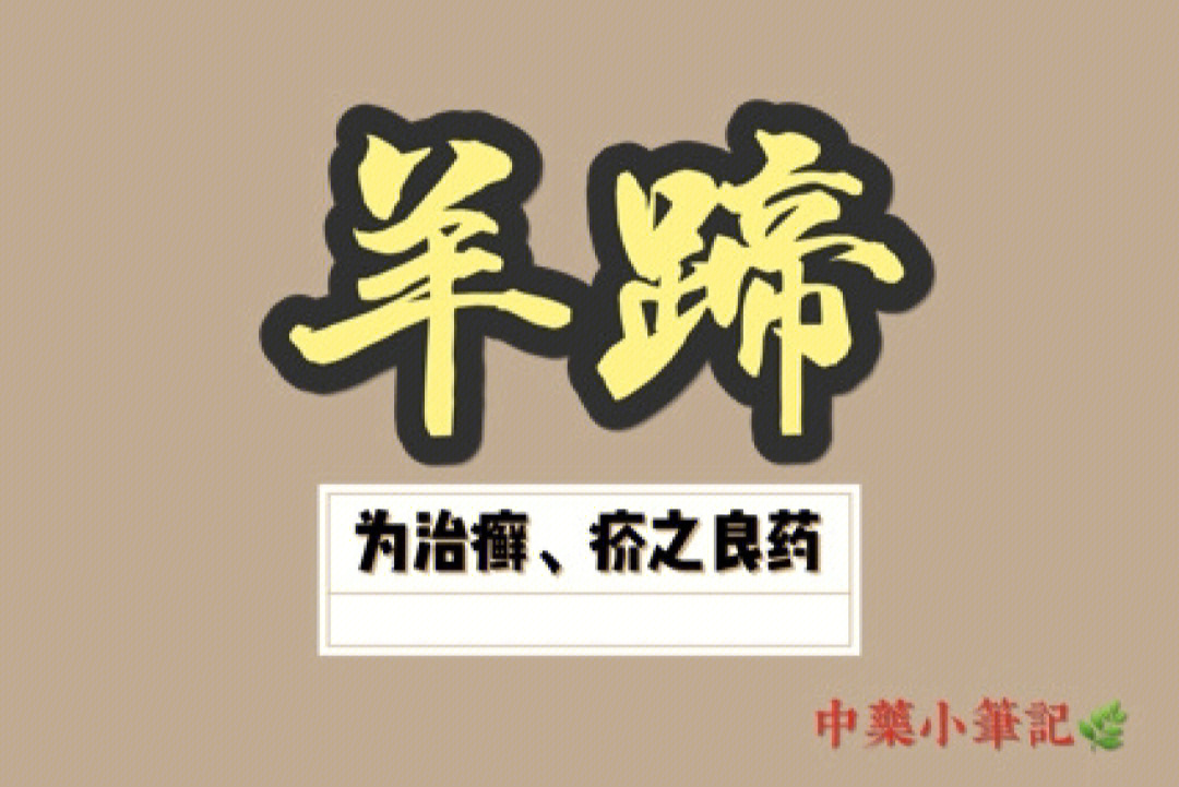 小羊蹄logo图片