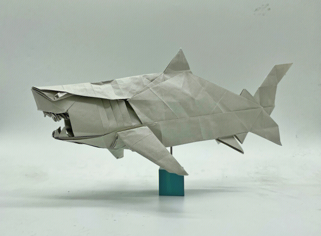 鲨鱼折法图片