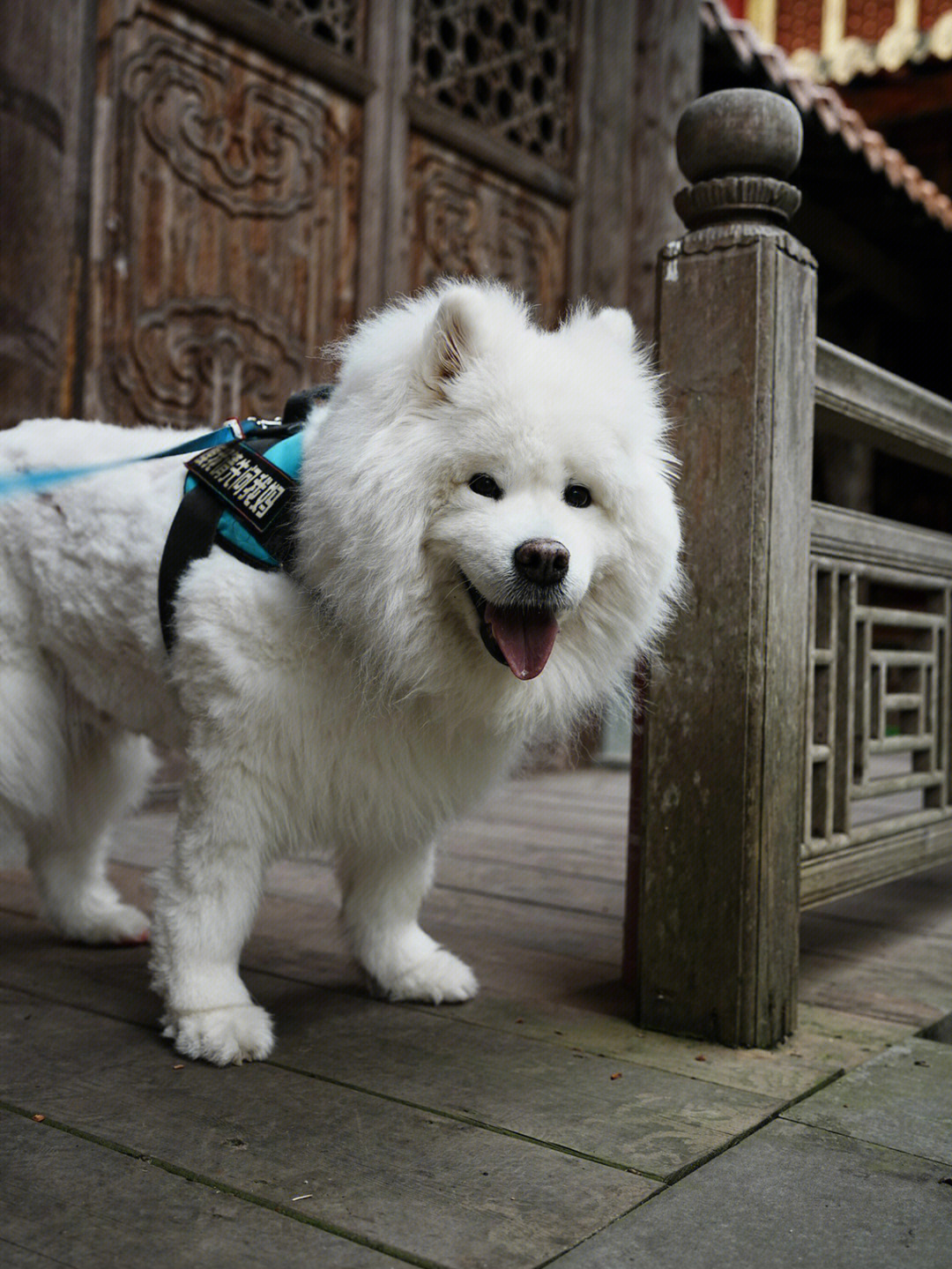 彭州三圣寺