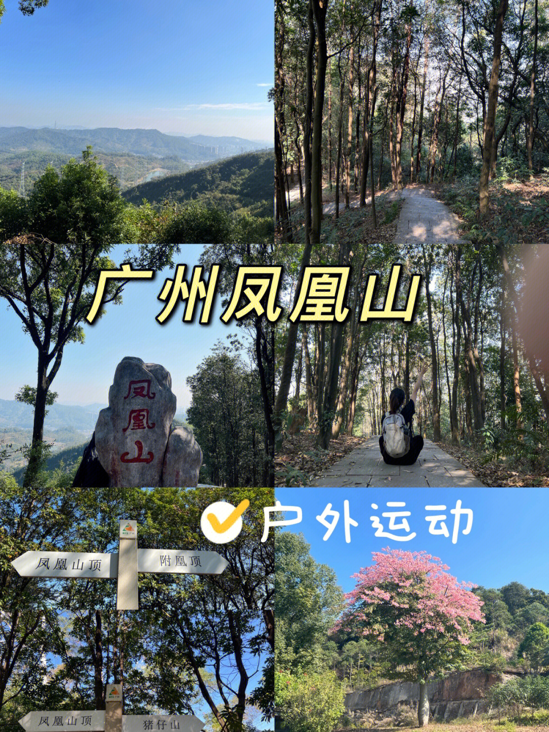 天河区凤凰山森林公园图片