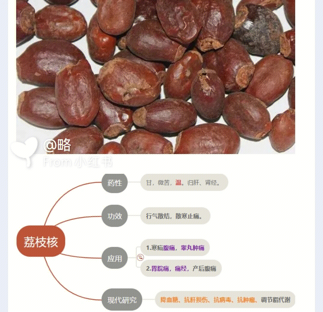 荔枝核的功效与作用图片