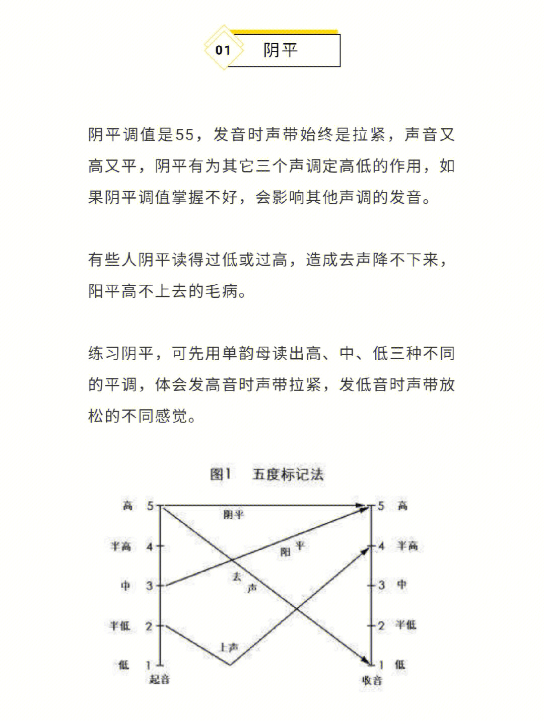 播音主持声调图图片