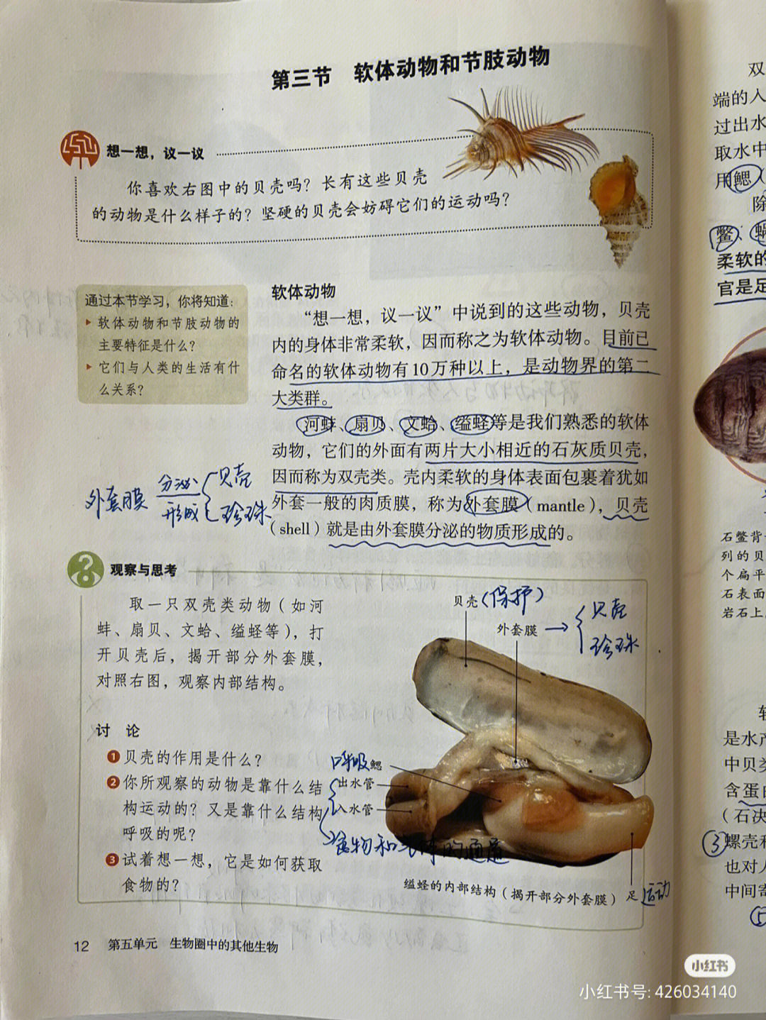 初二生物课本污9页图片