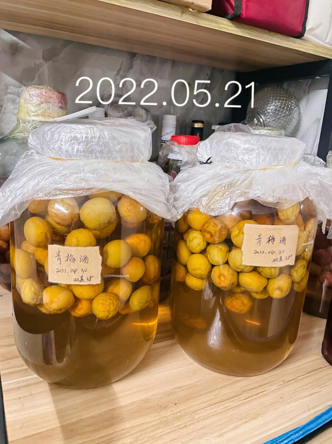 仙林青梅酒2022图片
