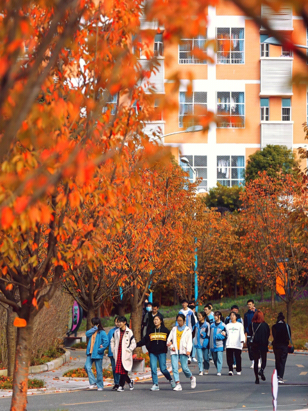 22年绵阳南山中学实验学校新高一招生进行中巴蜀最美中学