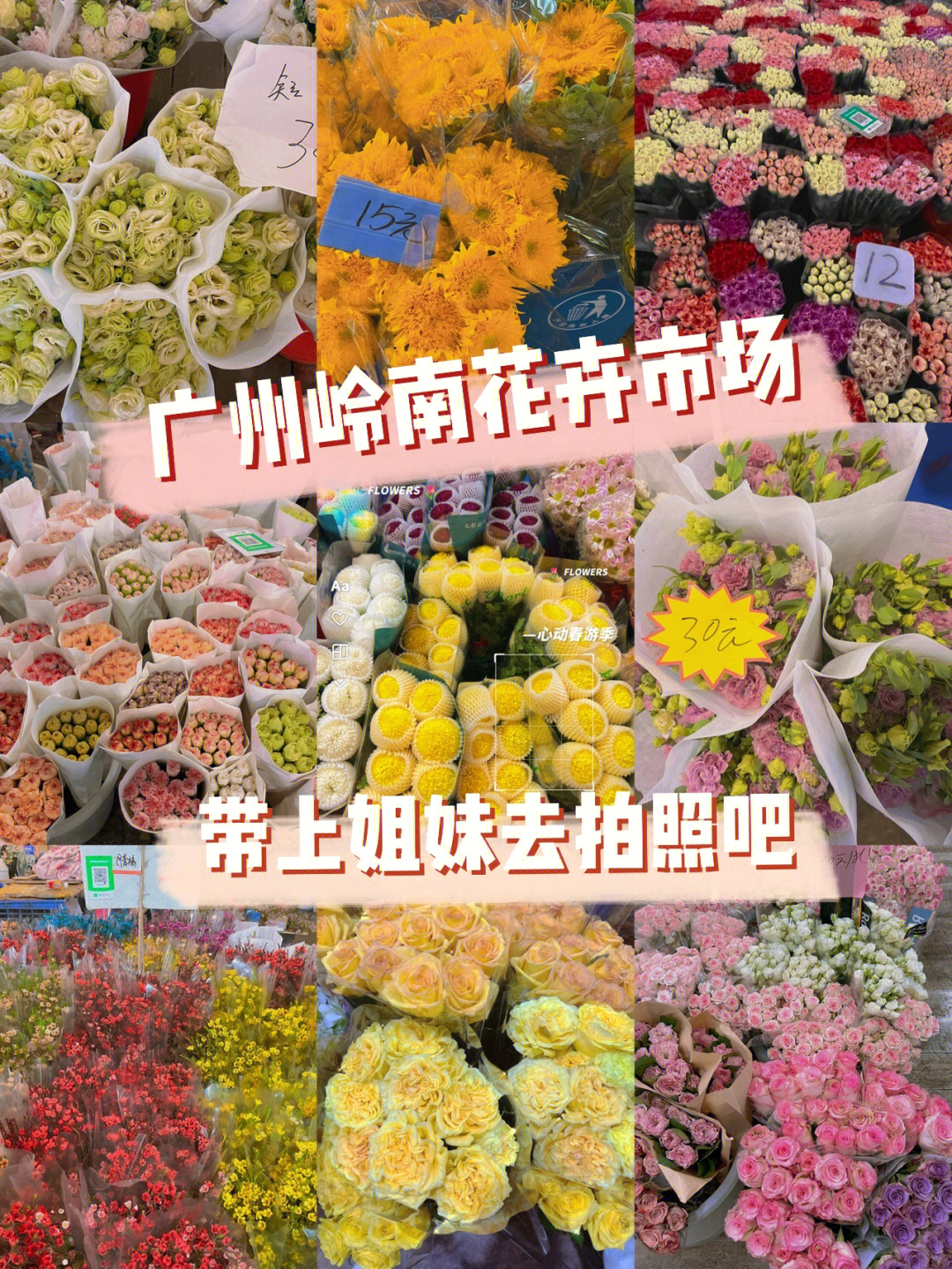 广州打卡岭南花卉市场超大的鲜花市场