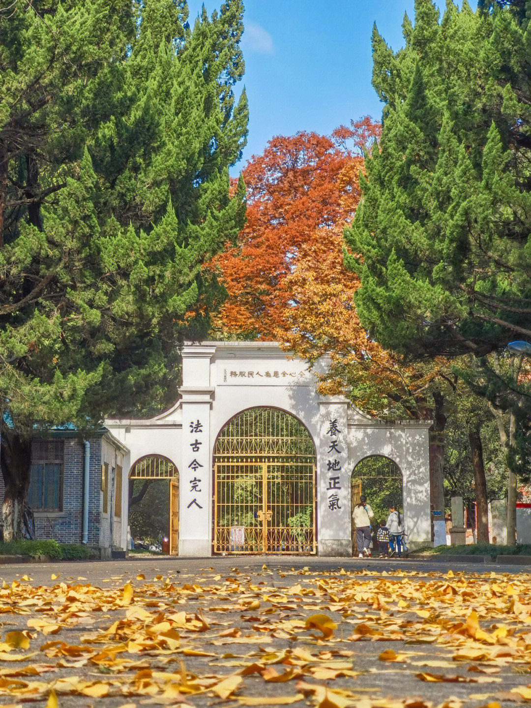 苏州大学昆山周庄学院图片