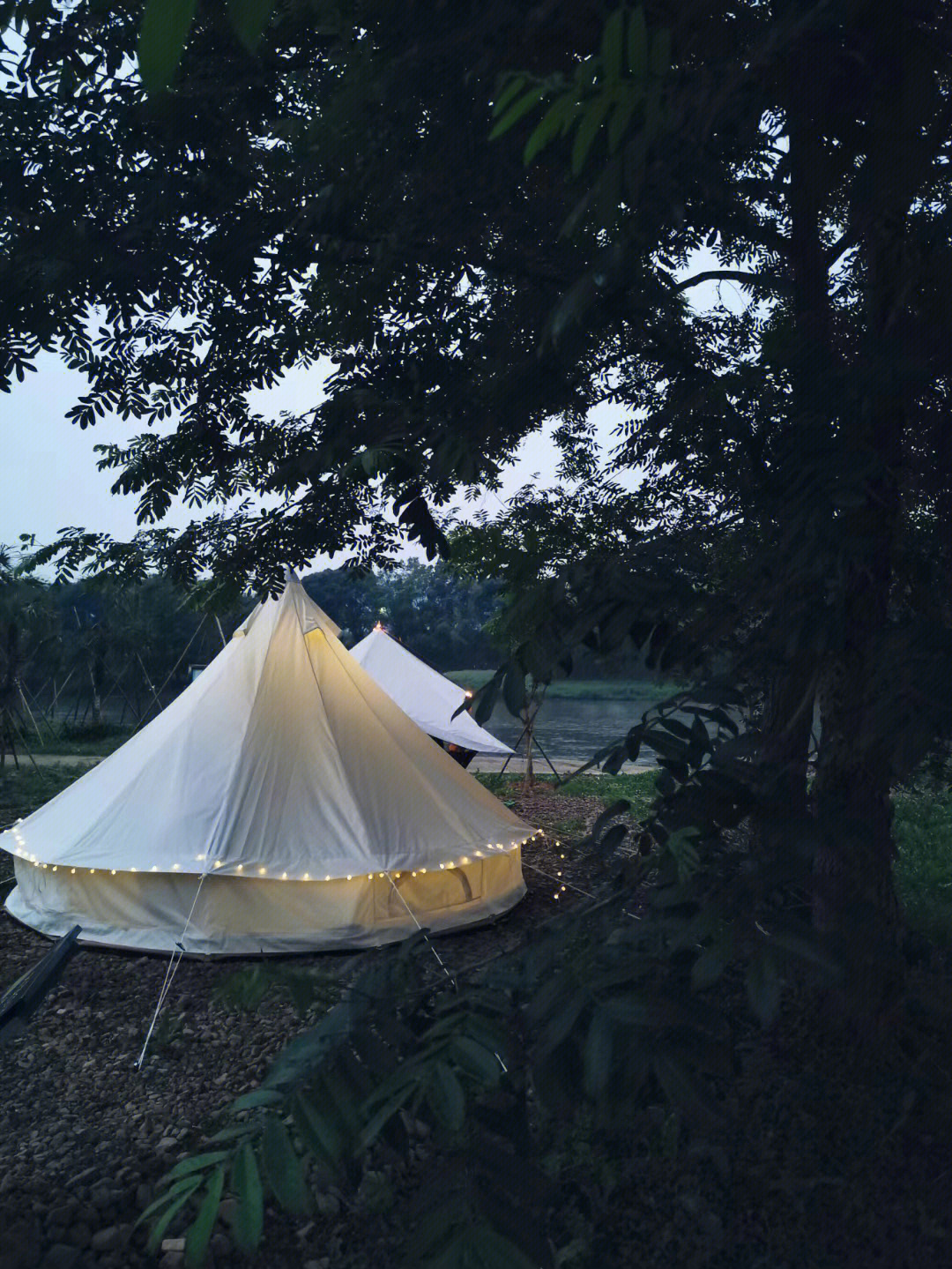 有的雨点大,有的雨点小,想象着它们从高空降落,小伞兵一般争先恐后