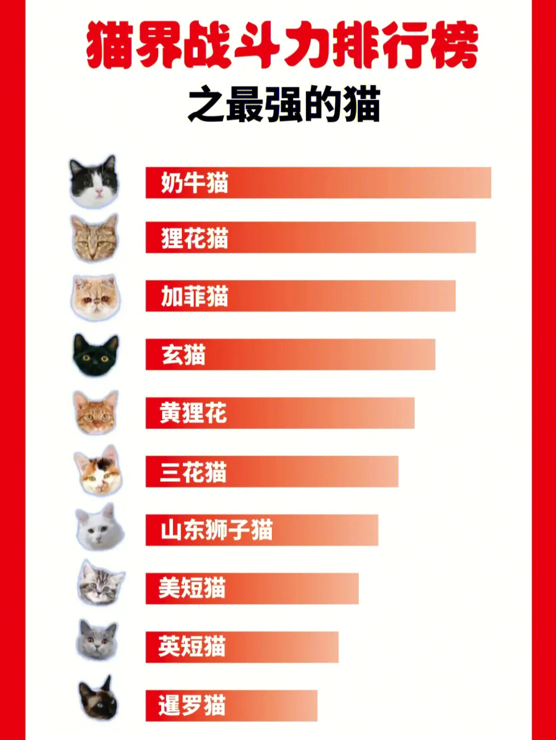 猫咪大战争敌人图鉴图片