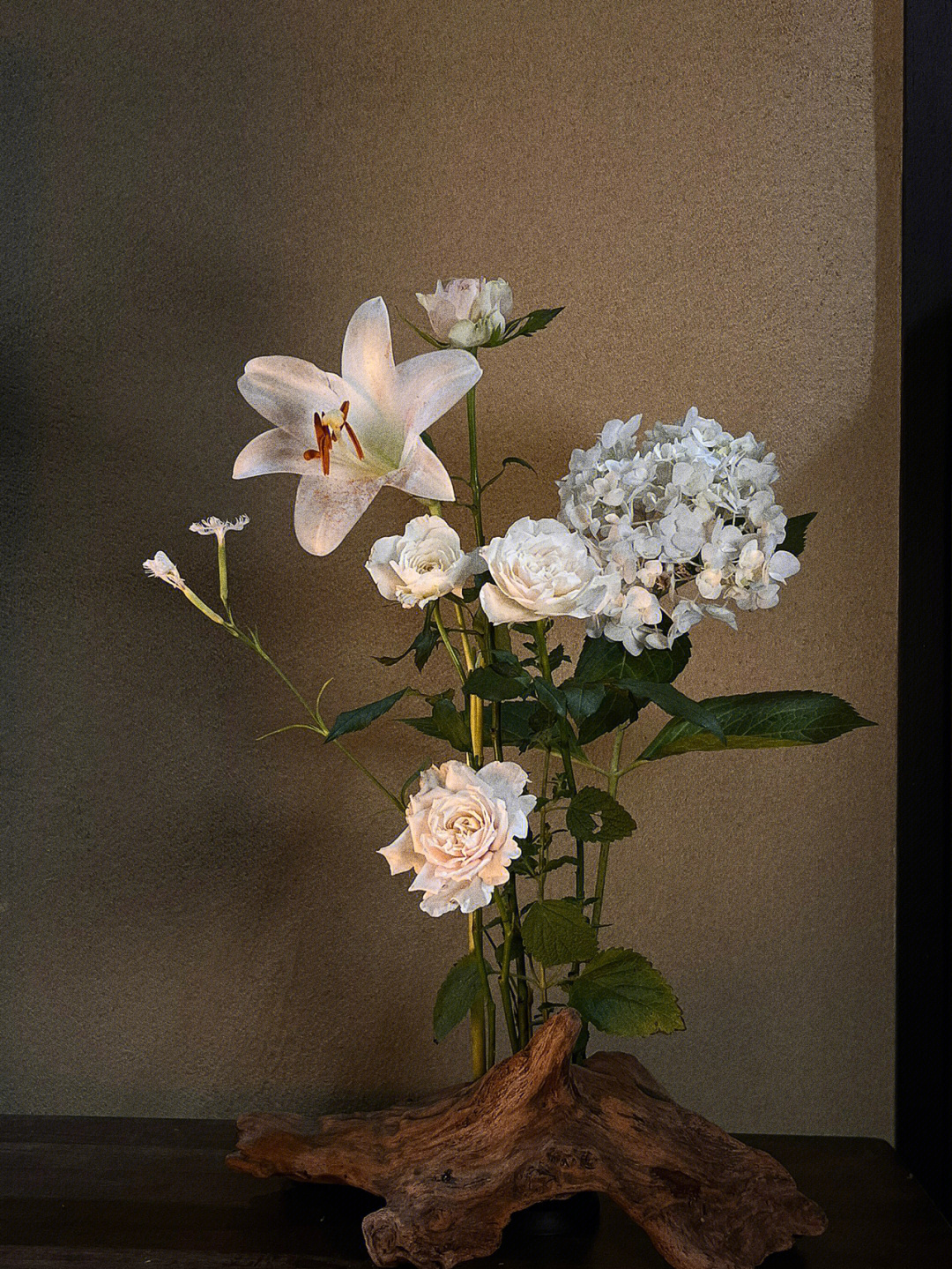 夏日高岭の花たかねのはなtakanenohana