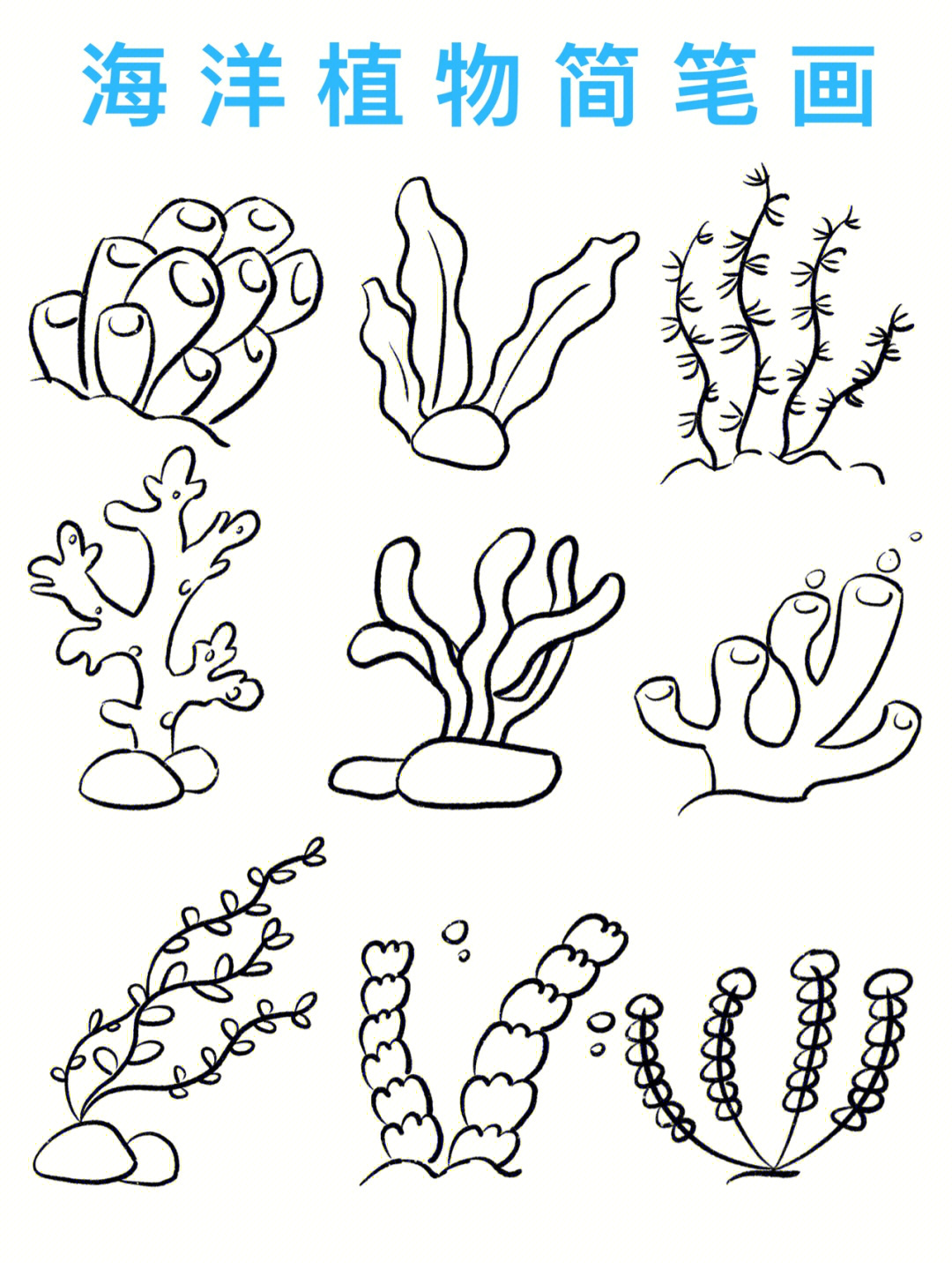 100海洋植物简笔画大全图片