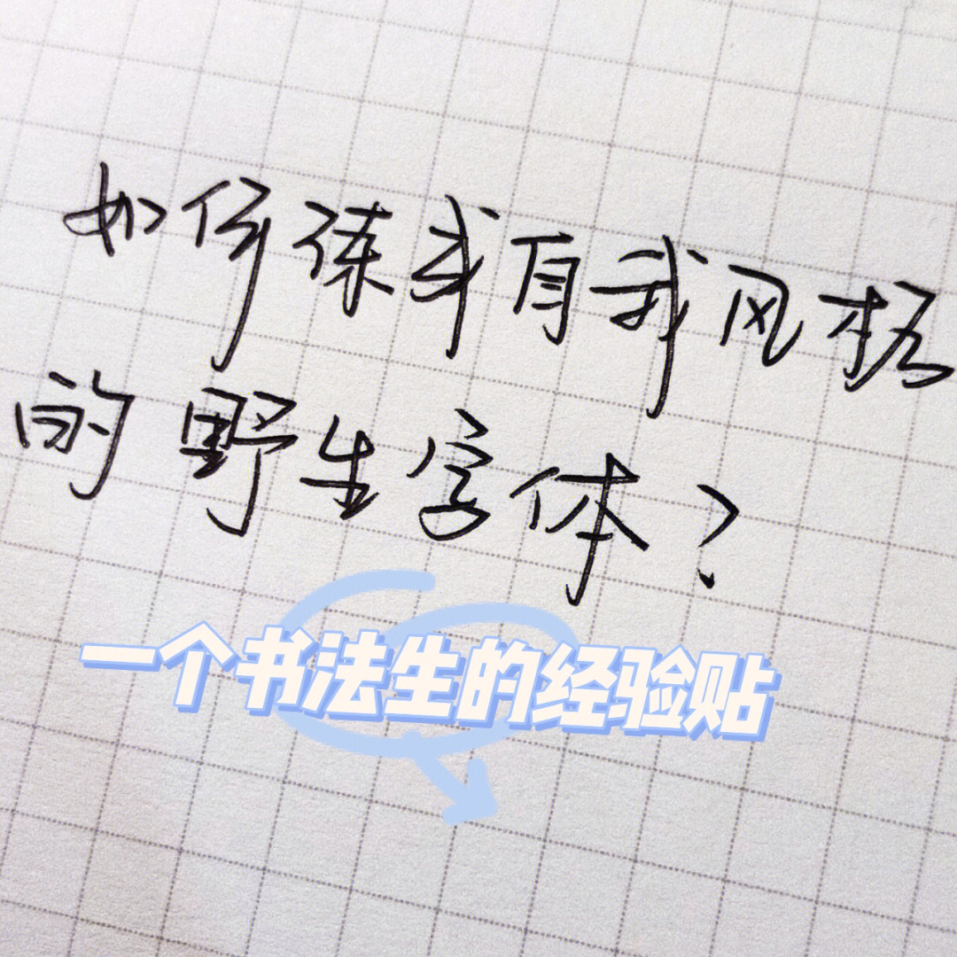 野生字体怎么练图片