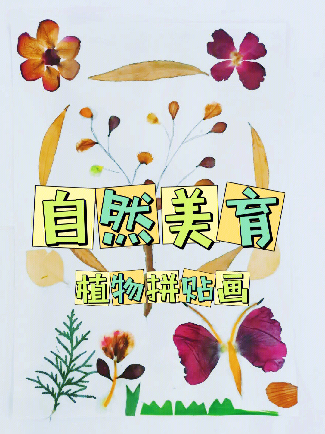 植物贴画制作方法图片