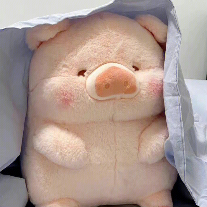 lulu猪头像图片