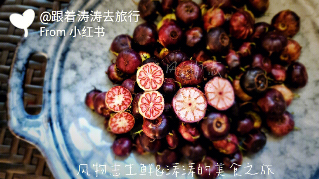 大理苍洱红果参图片