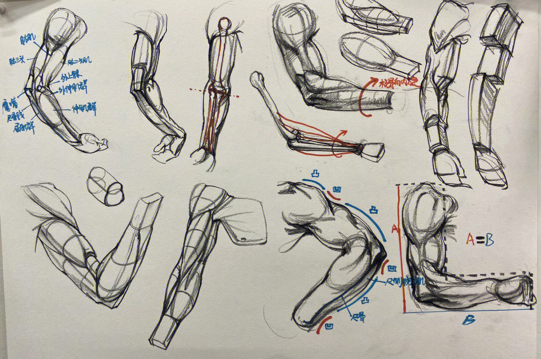 画好速写系列手臂肌肉练习