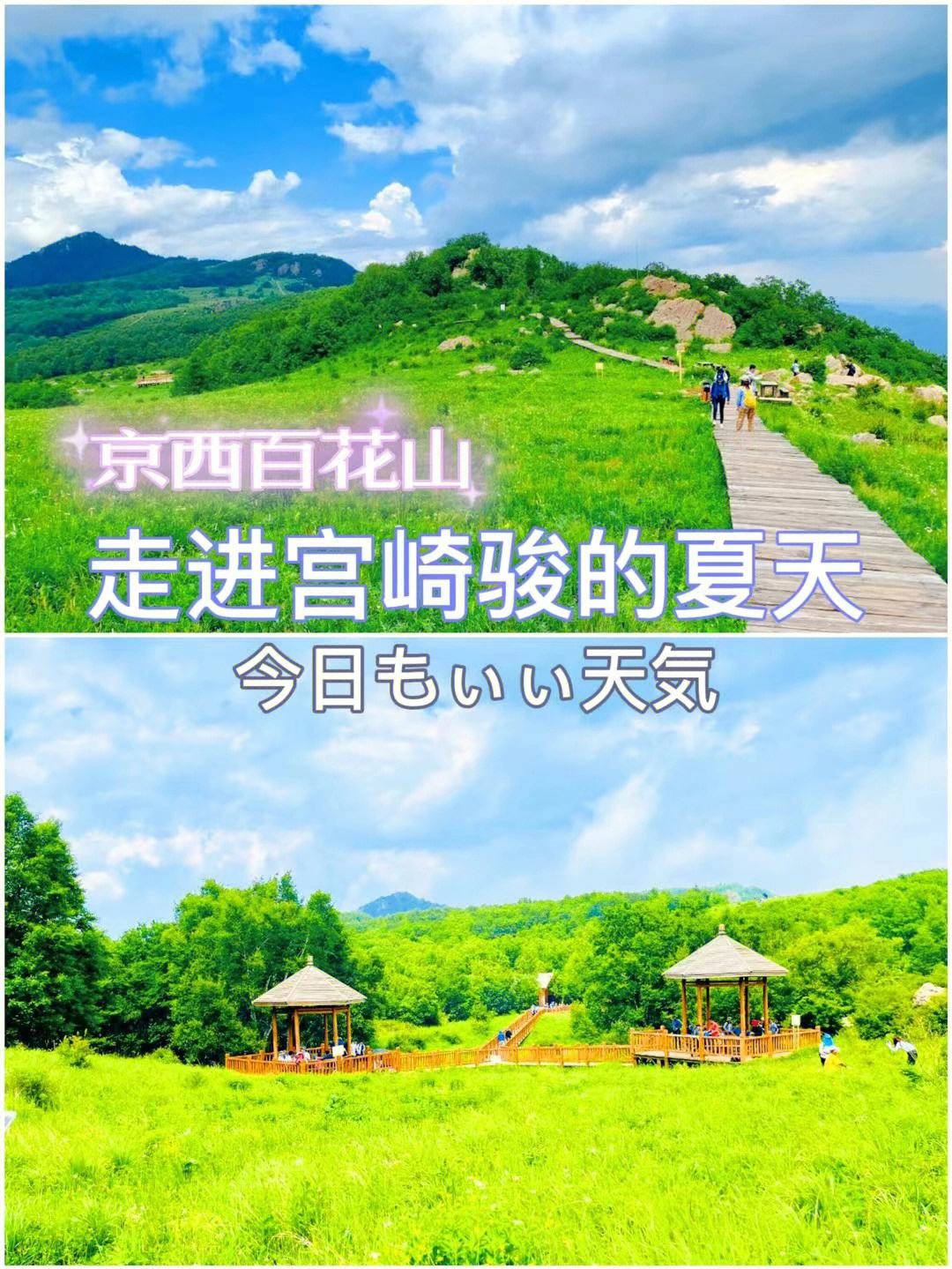 百花山风景区电话图片