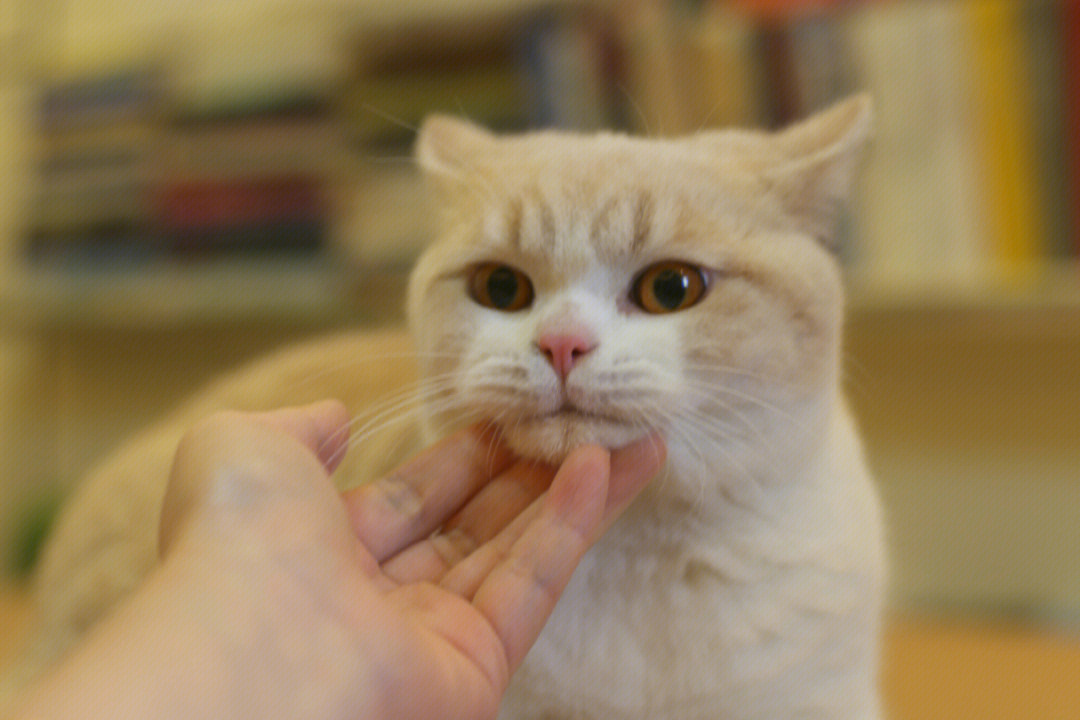 尤猫醒醒飞机内容图片