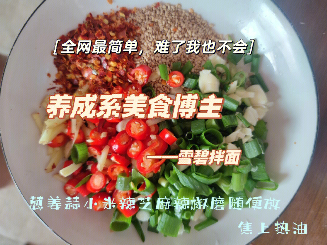 美食博主简介图片