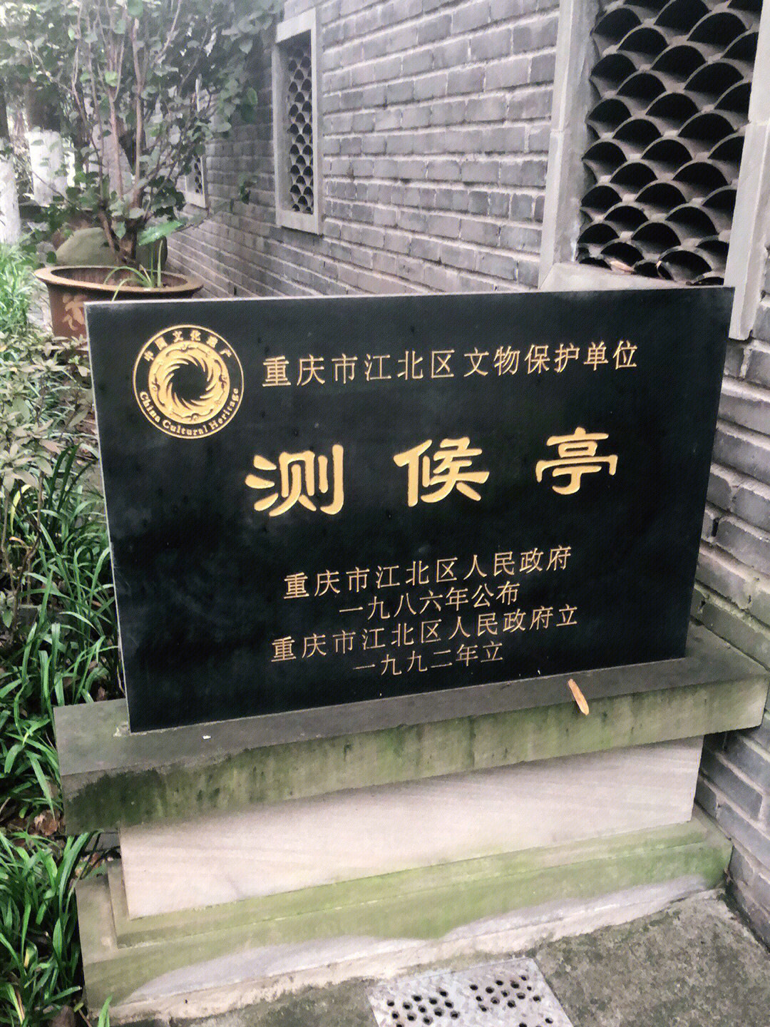 重庆市江北区陈茂图片