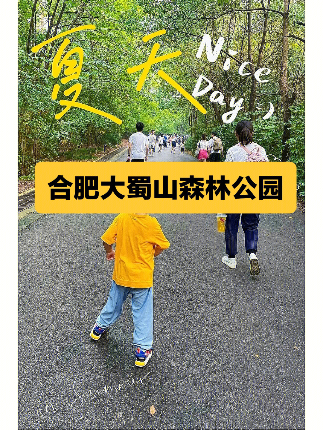 大蜀山森林公园门票图片