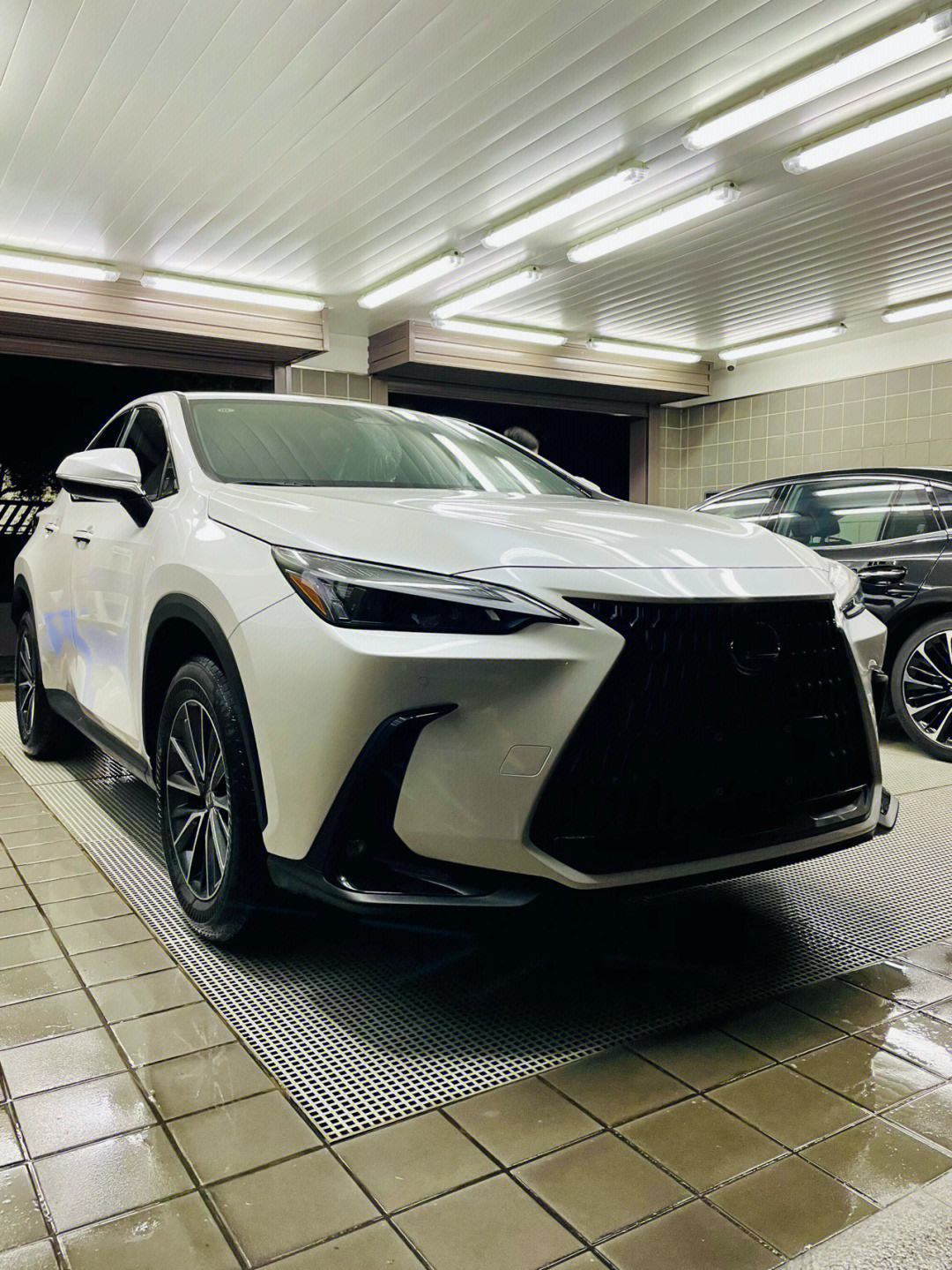 lexus78nx350h真棒白色是不是最好的颜色