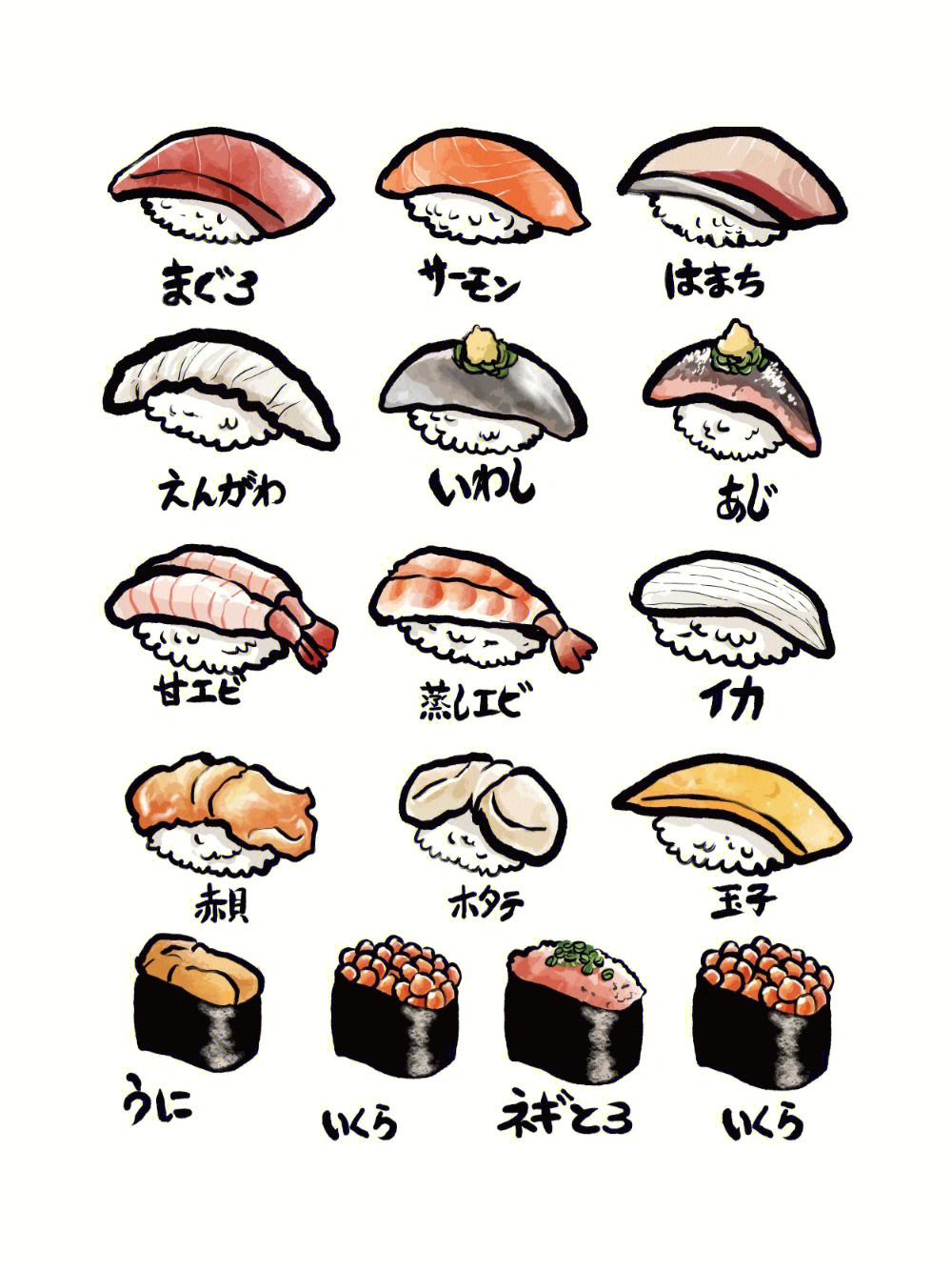 寿司的英语单词图片