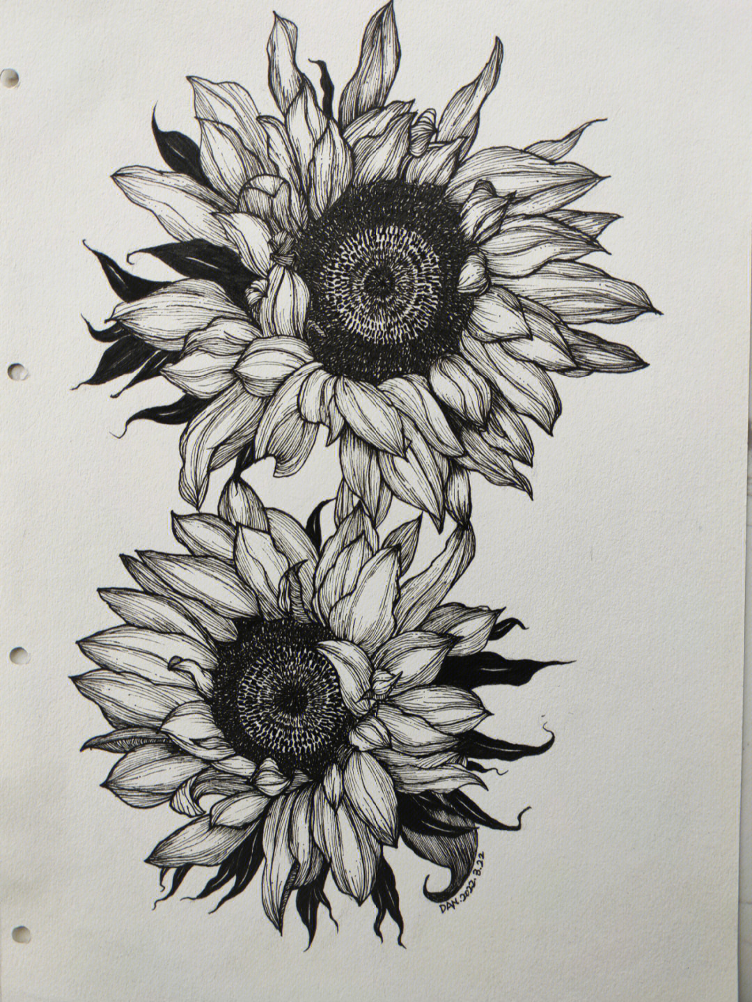 黑白线描装饰画向日葵图片