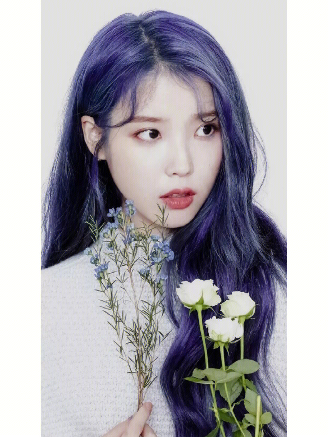 iu蓝紫色壁纸我真的好爱这个发色太美了