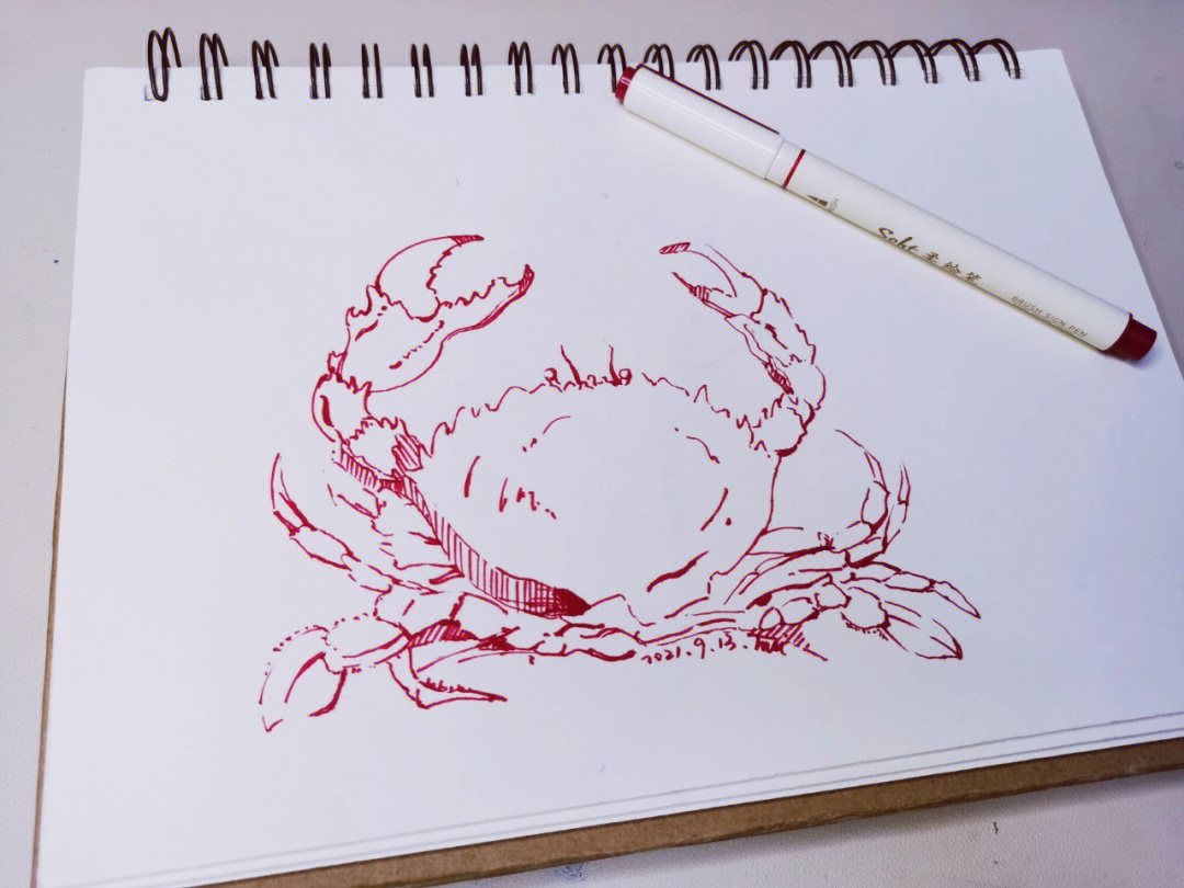 螃蟹素描画风景画图片