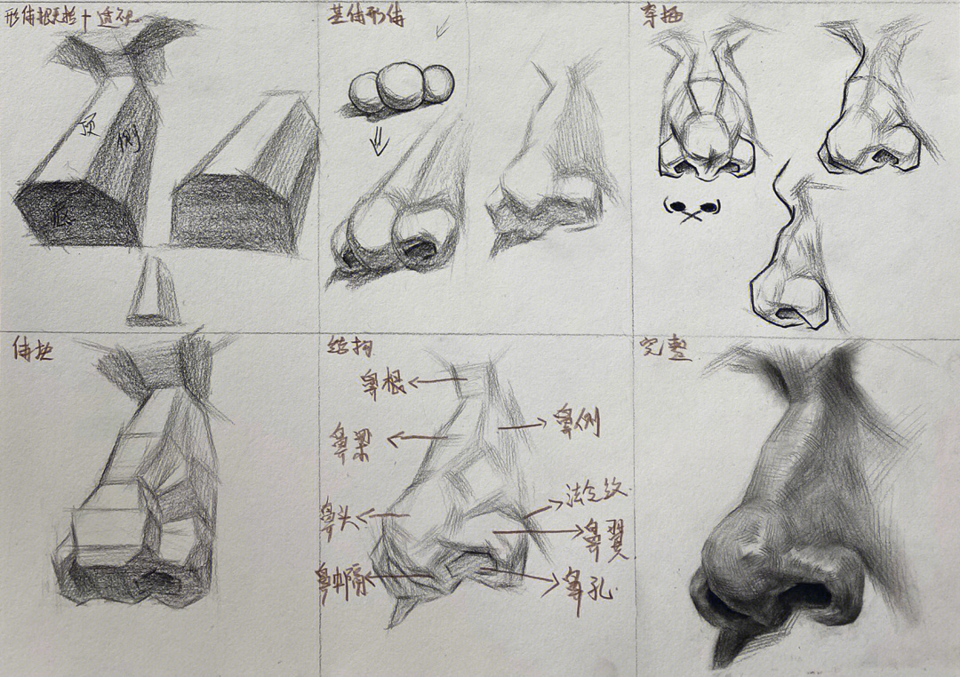 素描鼻子的画法步骤图图片