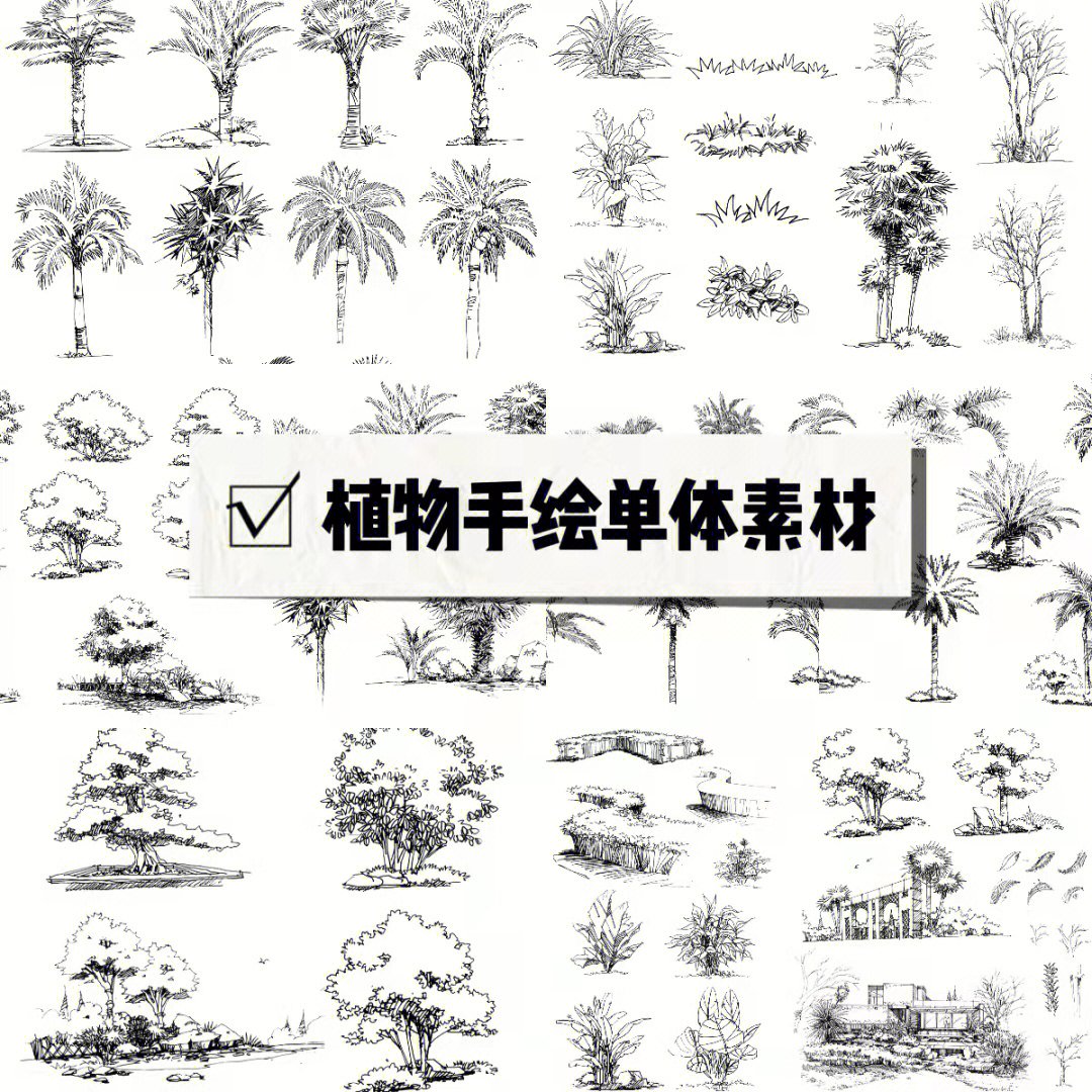 园林植物图例大全手绘图片