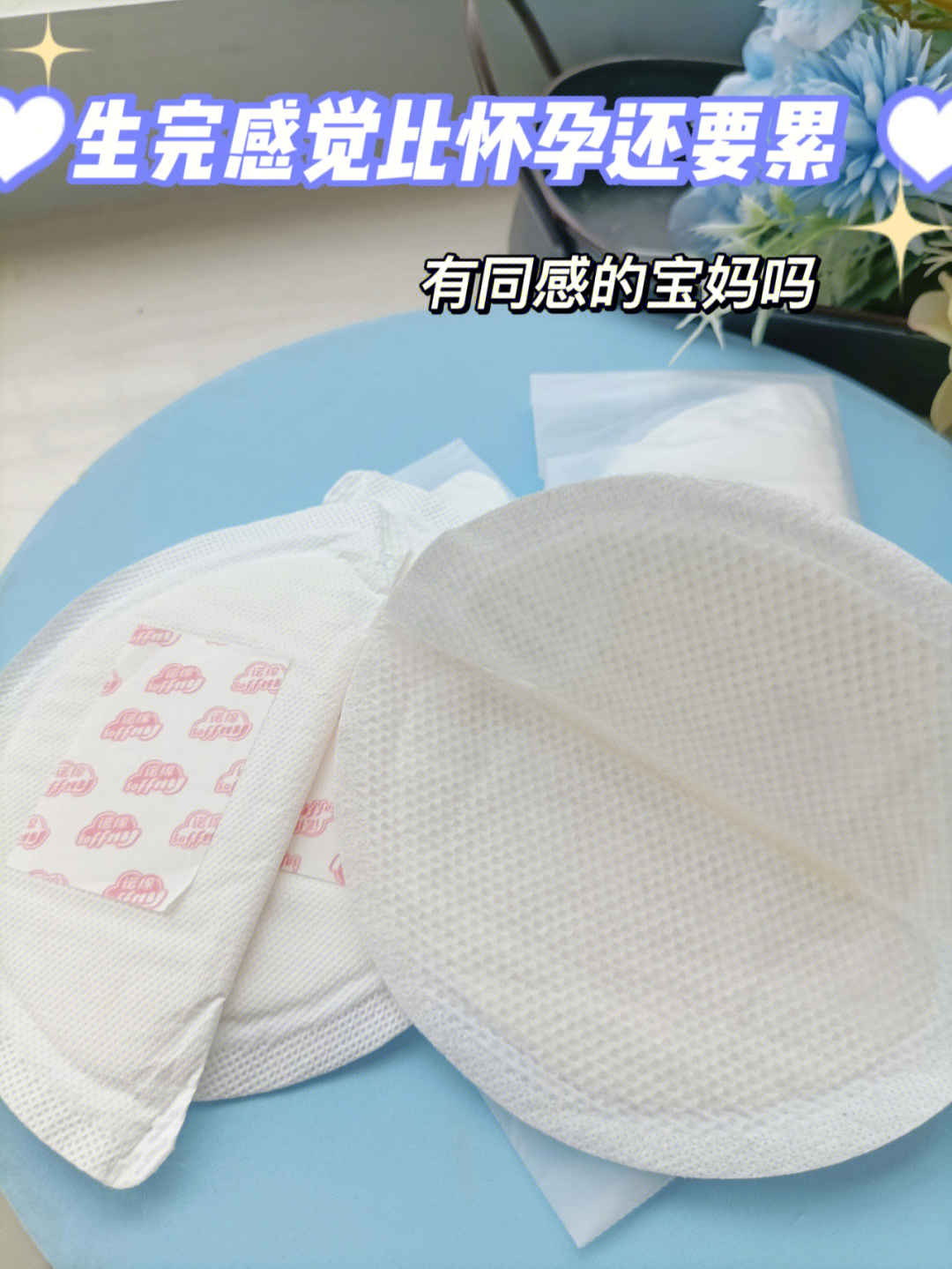 卫生巾老鼠怀孕图片