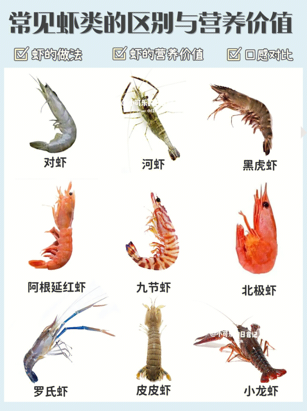常见虾的区别08营养价值与做法一张图看懂