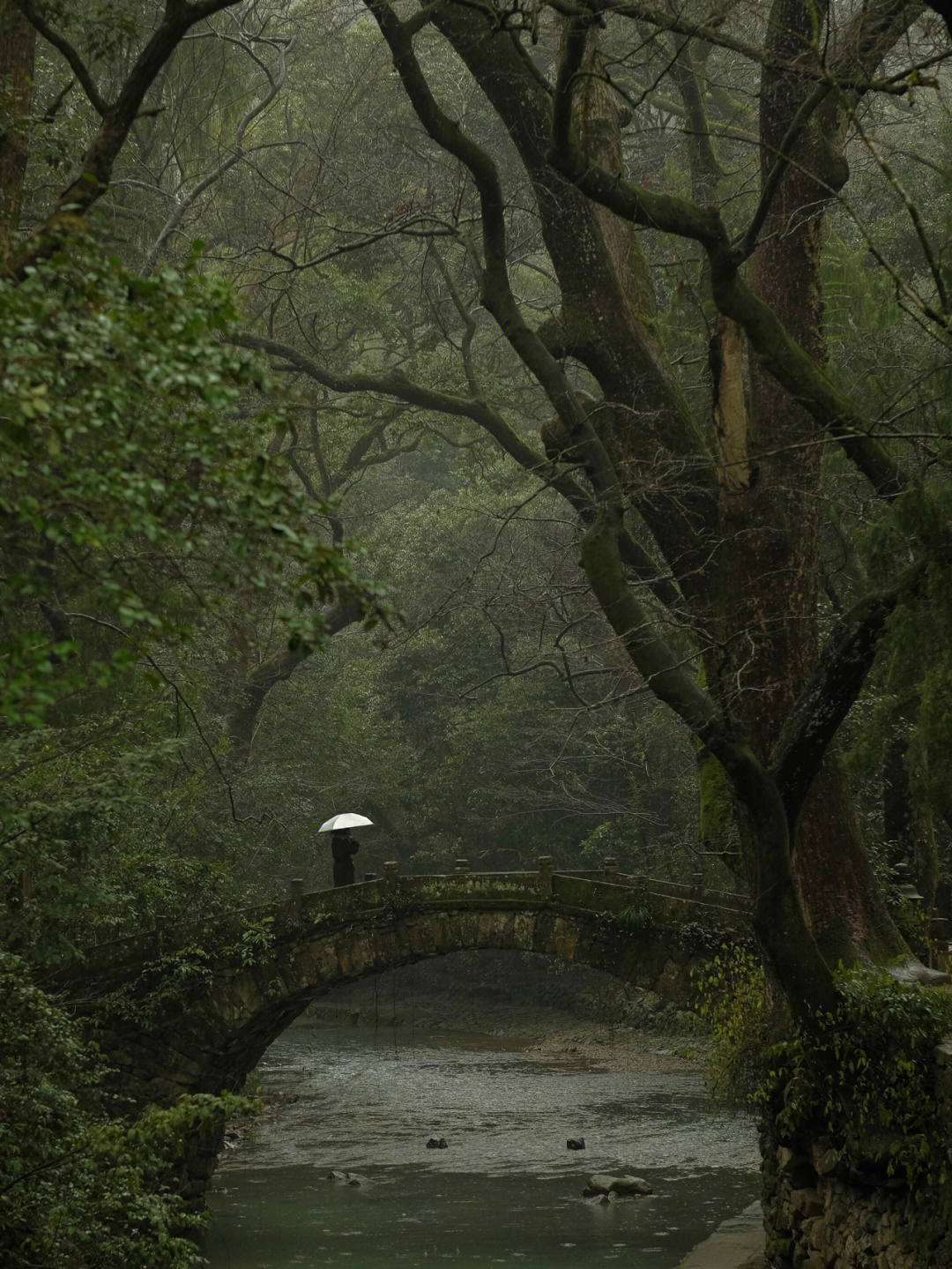 倚栏听雨意境图片图片