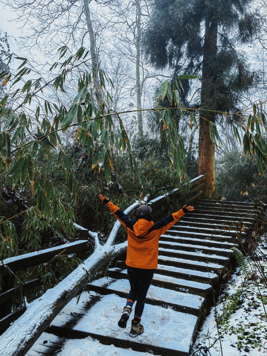 都江堰玩雪图片