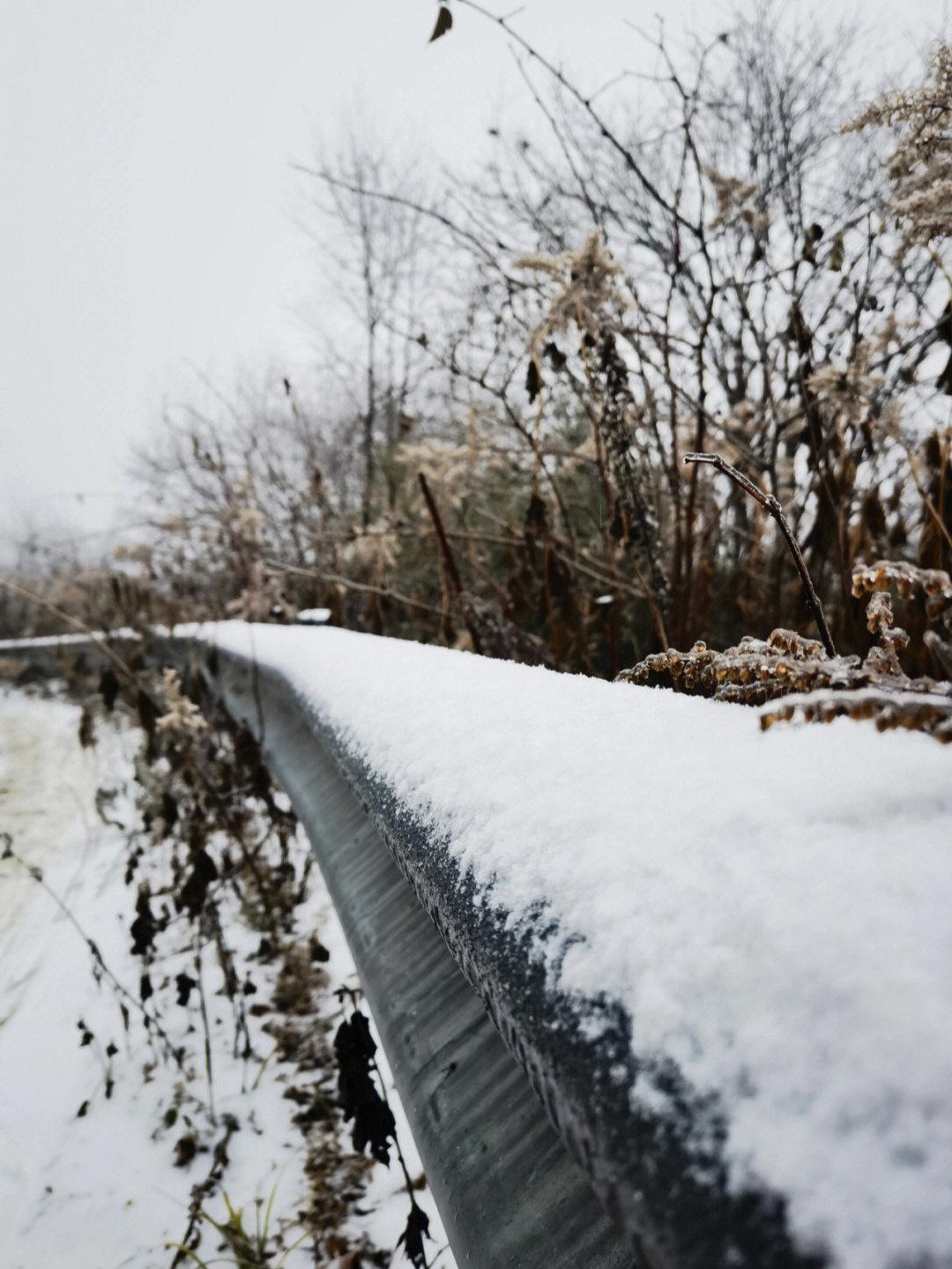 绵阳吴家后山下雪图片