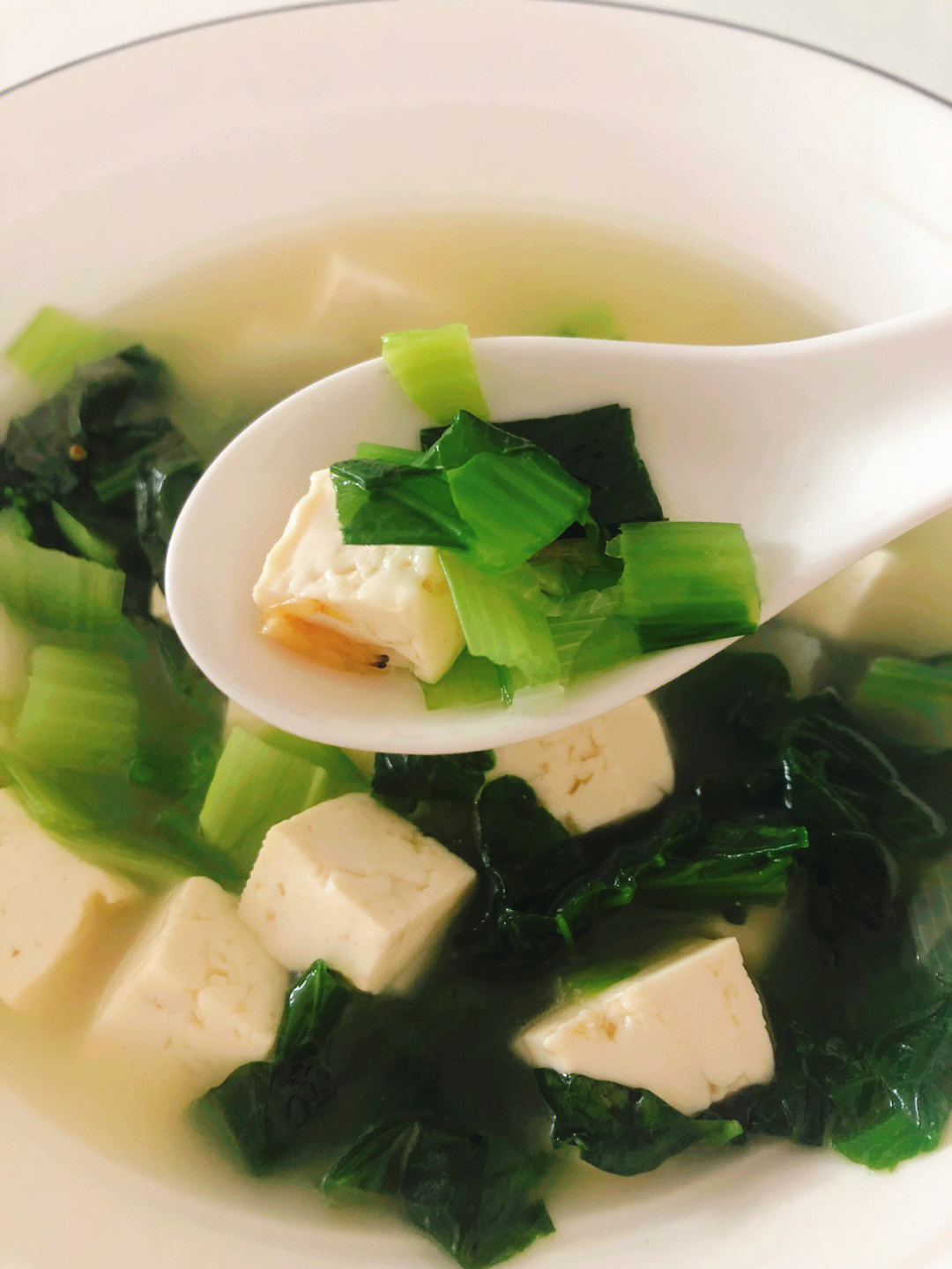 白菜豆腐汤图片高清图片
