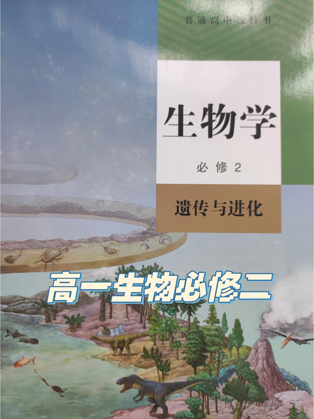 高一生物必修二第六章第一节生物共同祖先