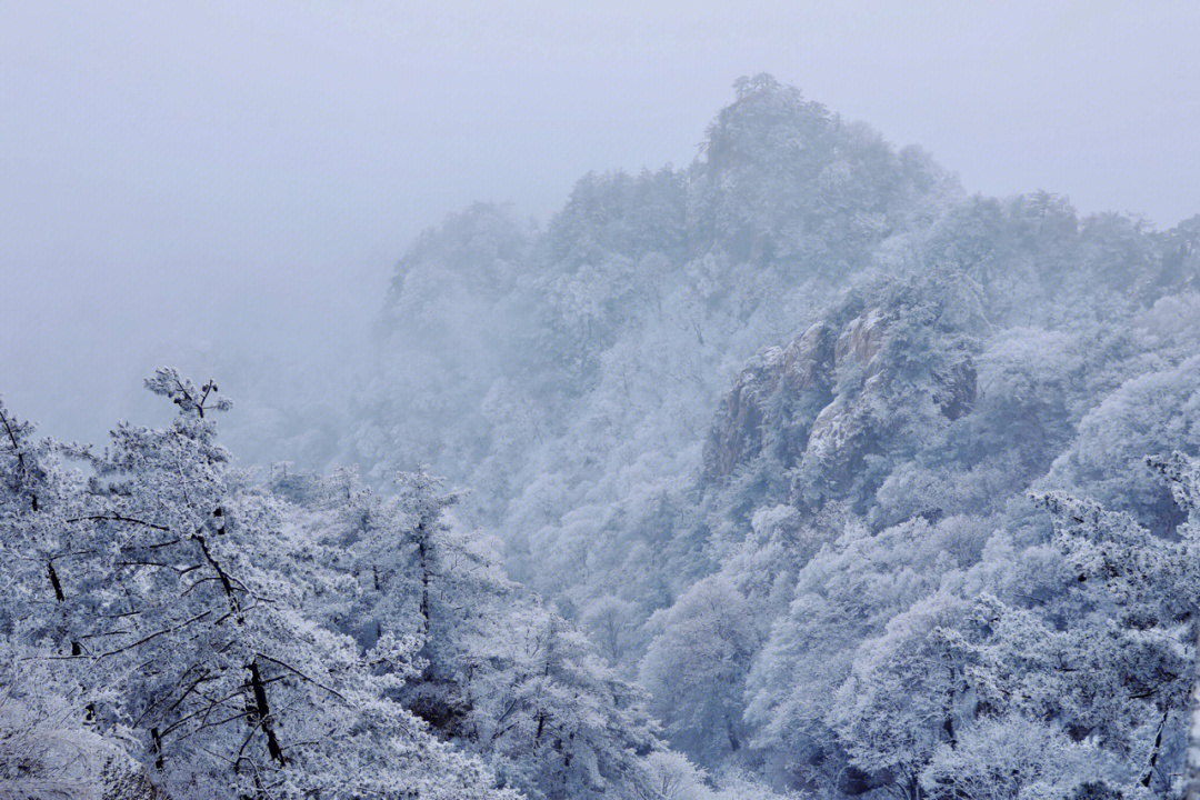 老君山下雪啦旅游免门票12月25日今日雪景