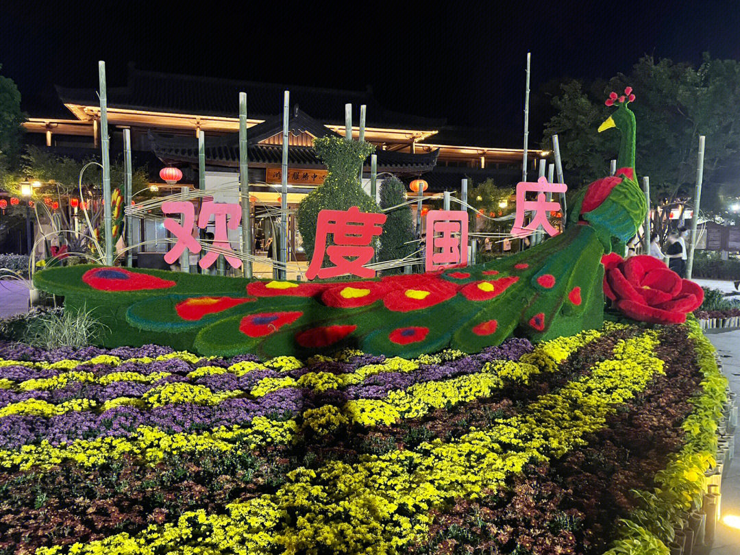 安康欢乐世界菊花展图片