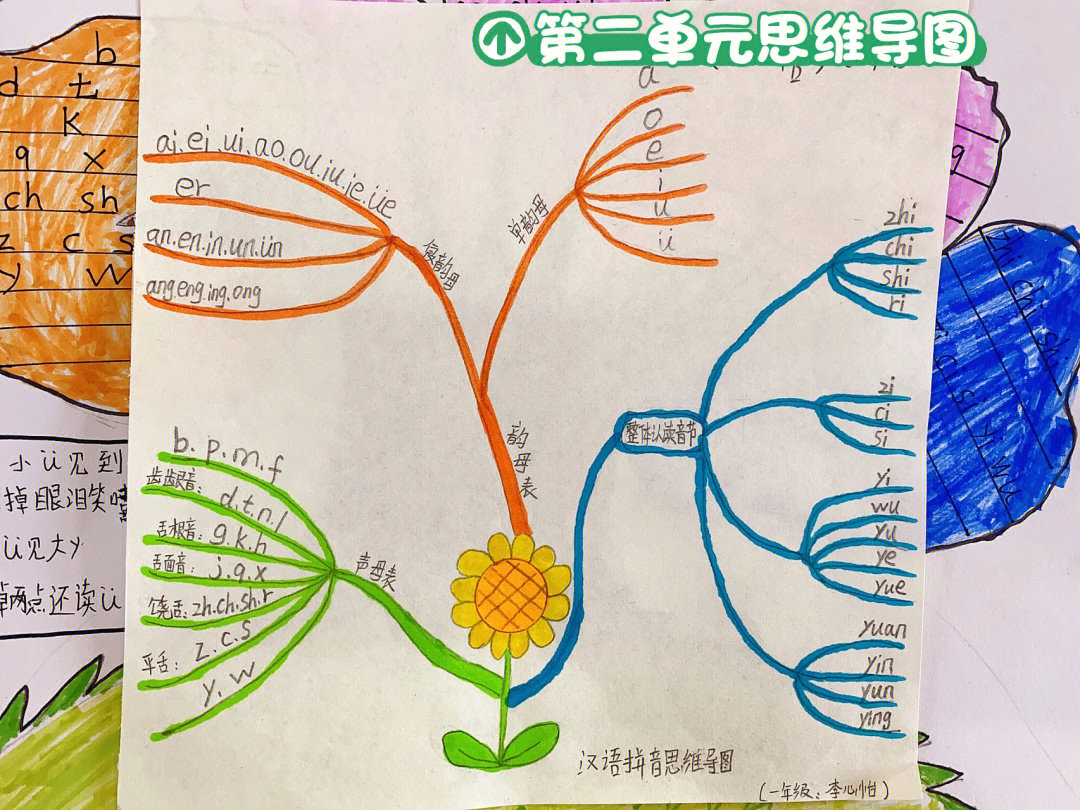 一年级上册第二单元思维导图