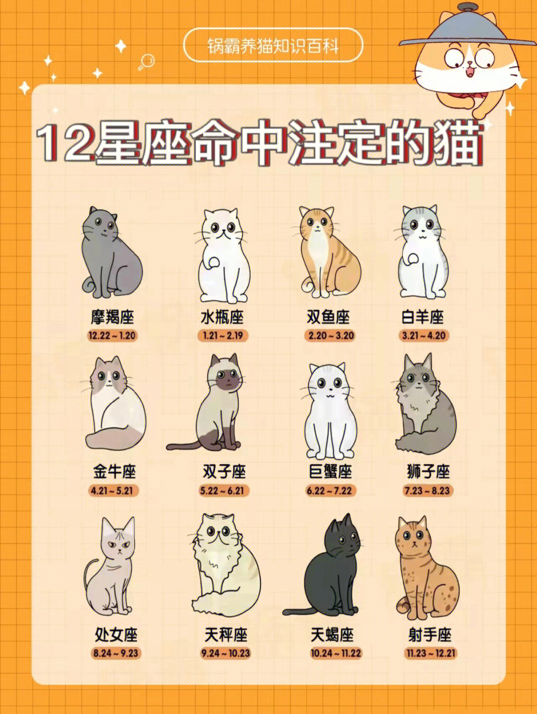 画十二星座宠物猫图片