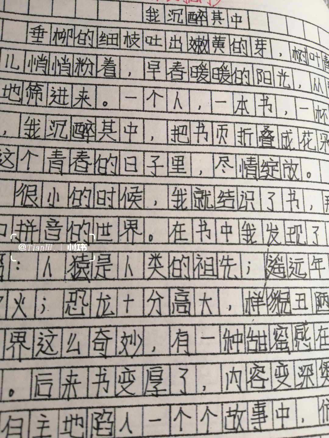 中考满分作文字体原图图片