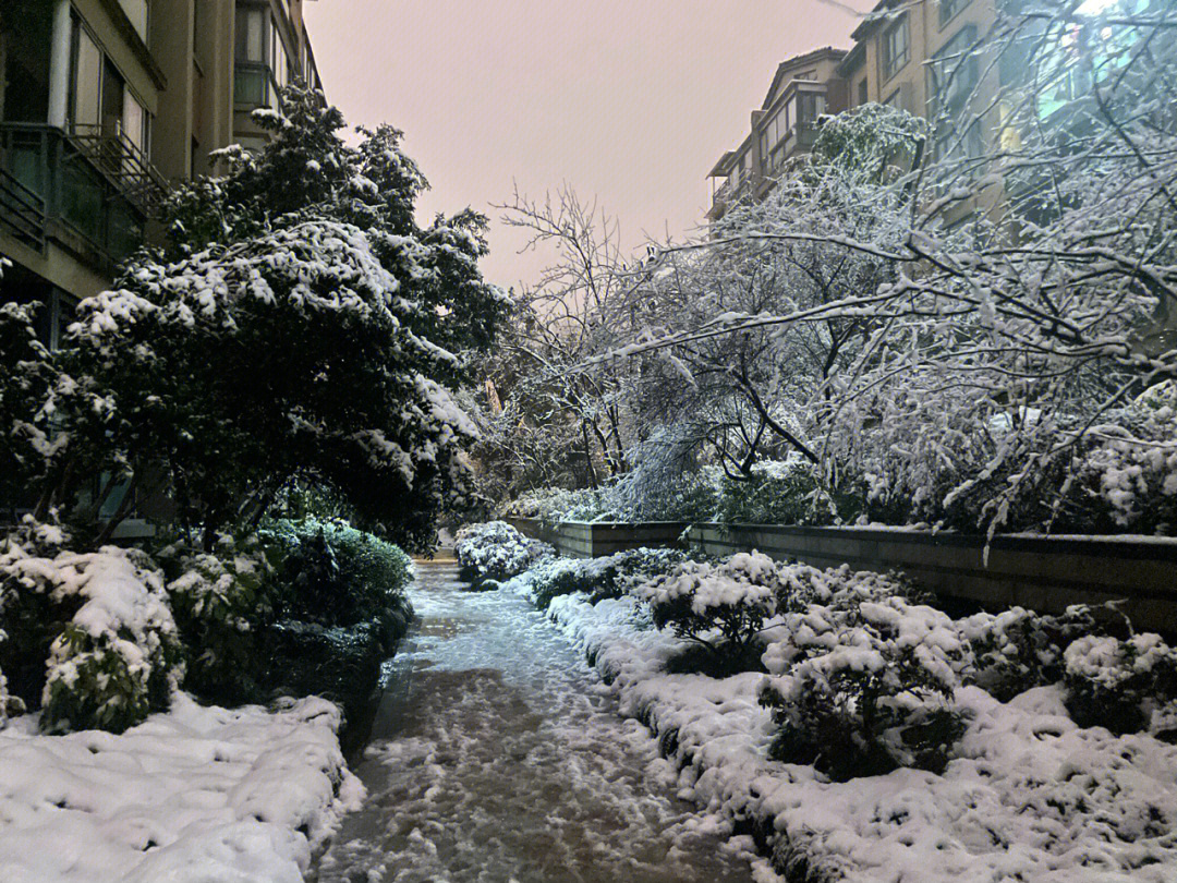 小区雪景超级美