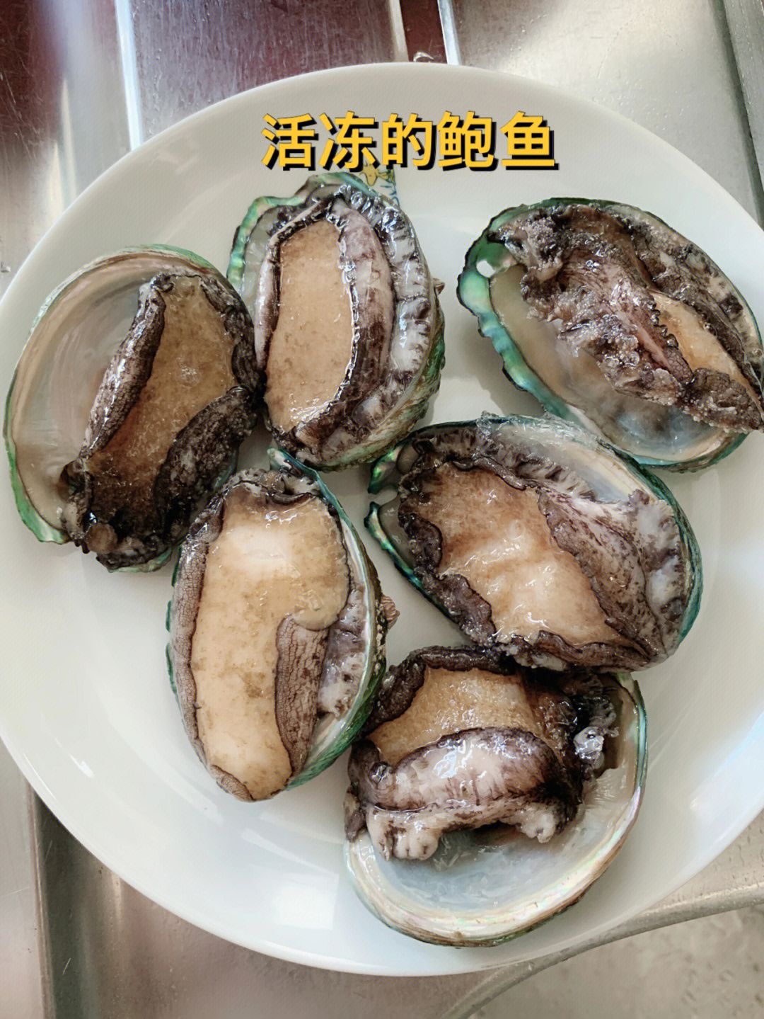 鮑魚  