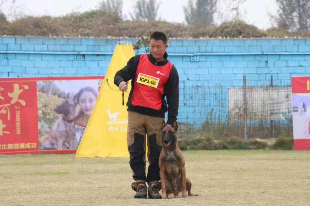 k9训犬俱乐部图片