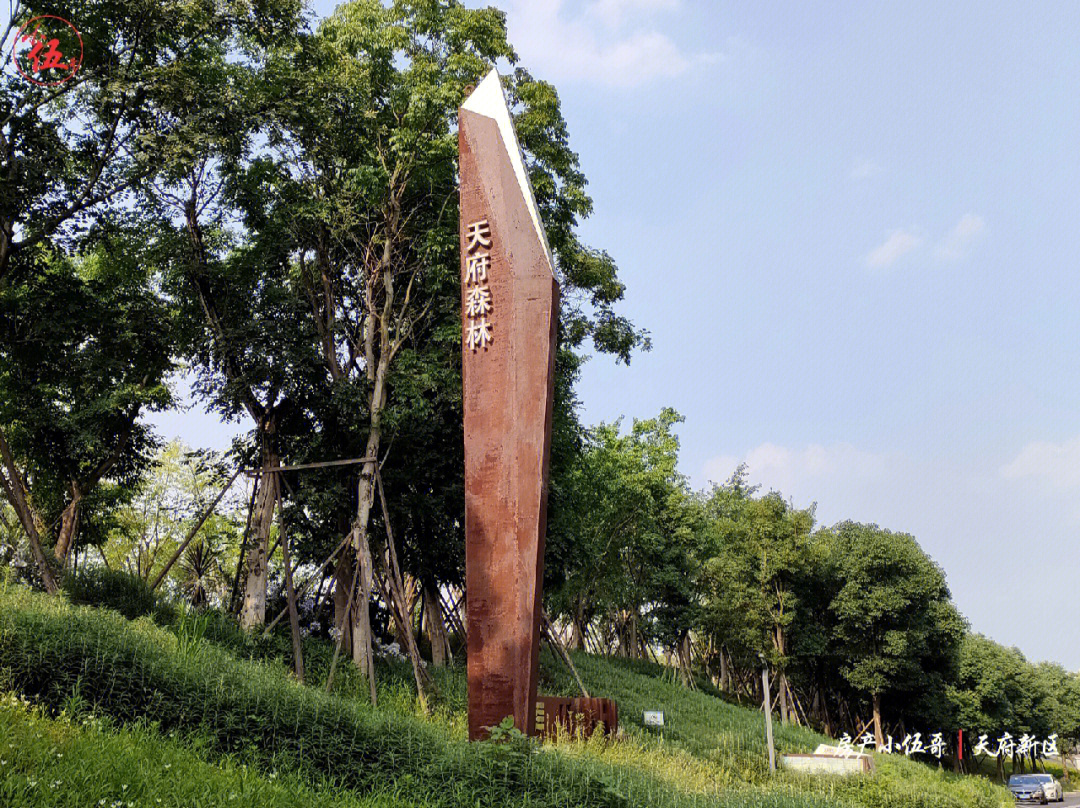 麓湖生态城丨天府森林篮球场免费运动场