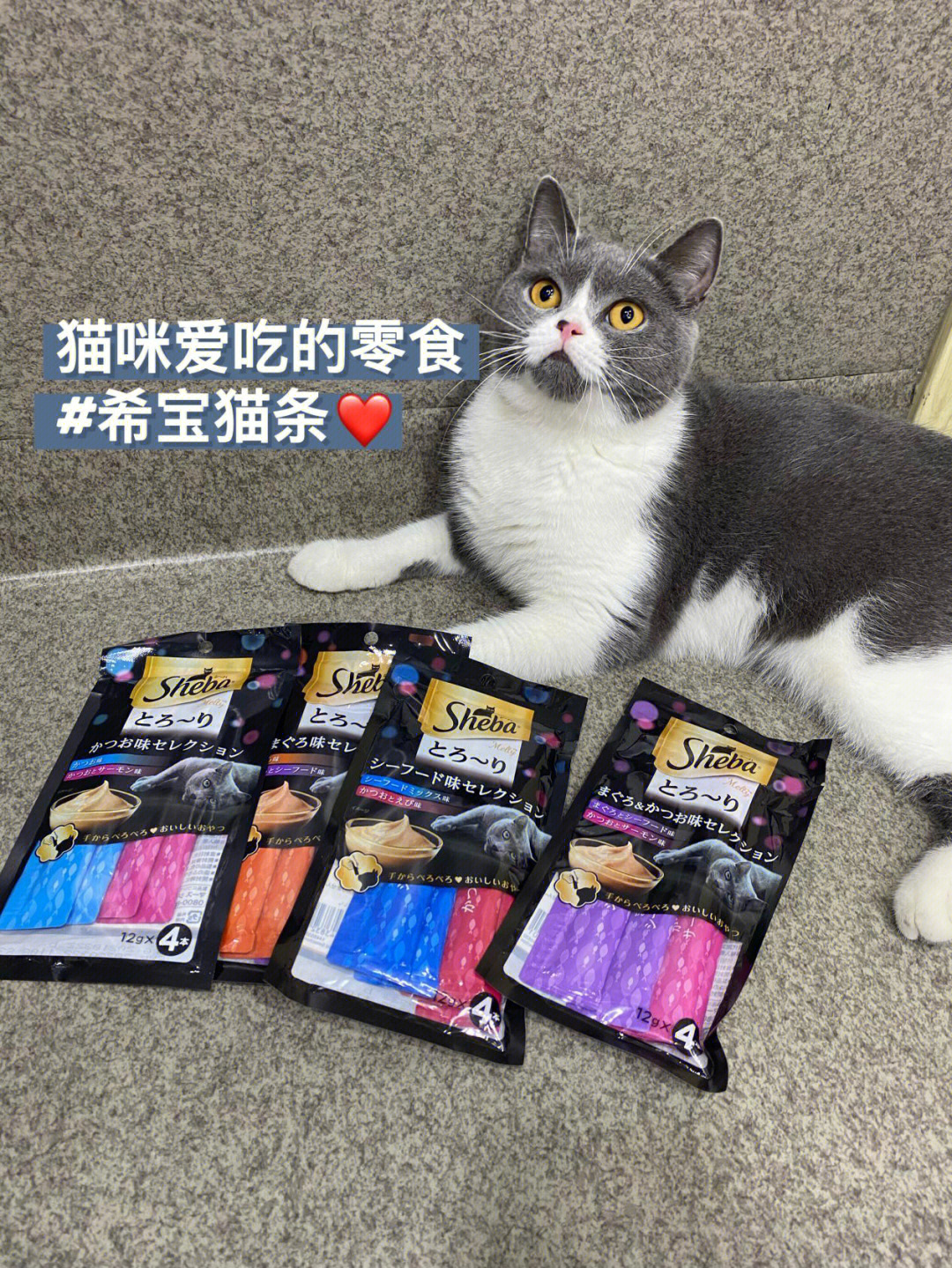 猫咪爱吃的猫零食希宝猫条