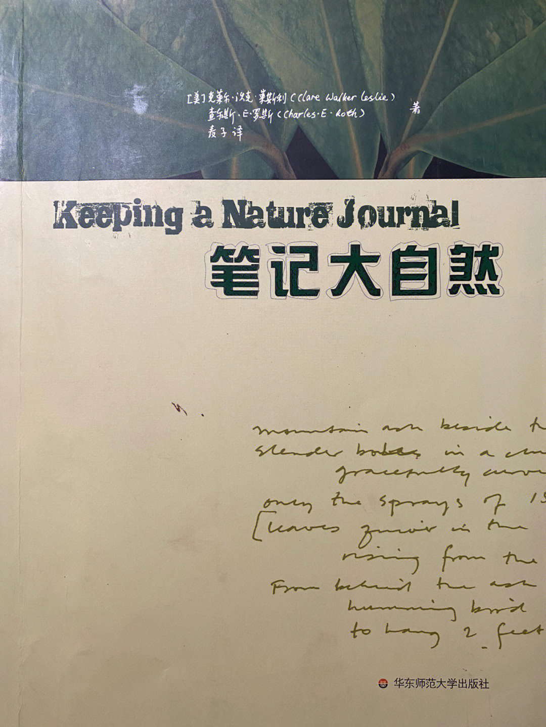 带有个人视角感受的单色线条画,也是广义上的素描范国,用手绘记录眼底